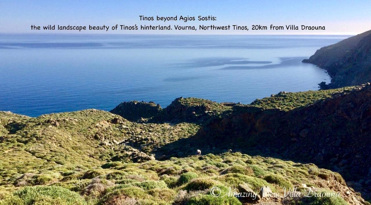 Amazing View Villa Draouna, Agios Sostis, Tinos Agios Sostis  Exterior photo